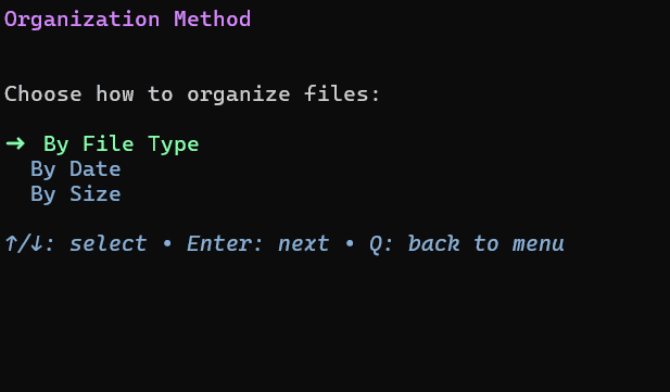 File Organizer
